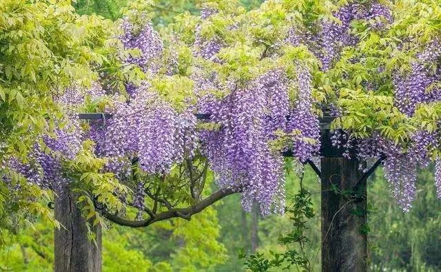 江西旅游打卡地南昌有哪些好玩的地方？